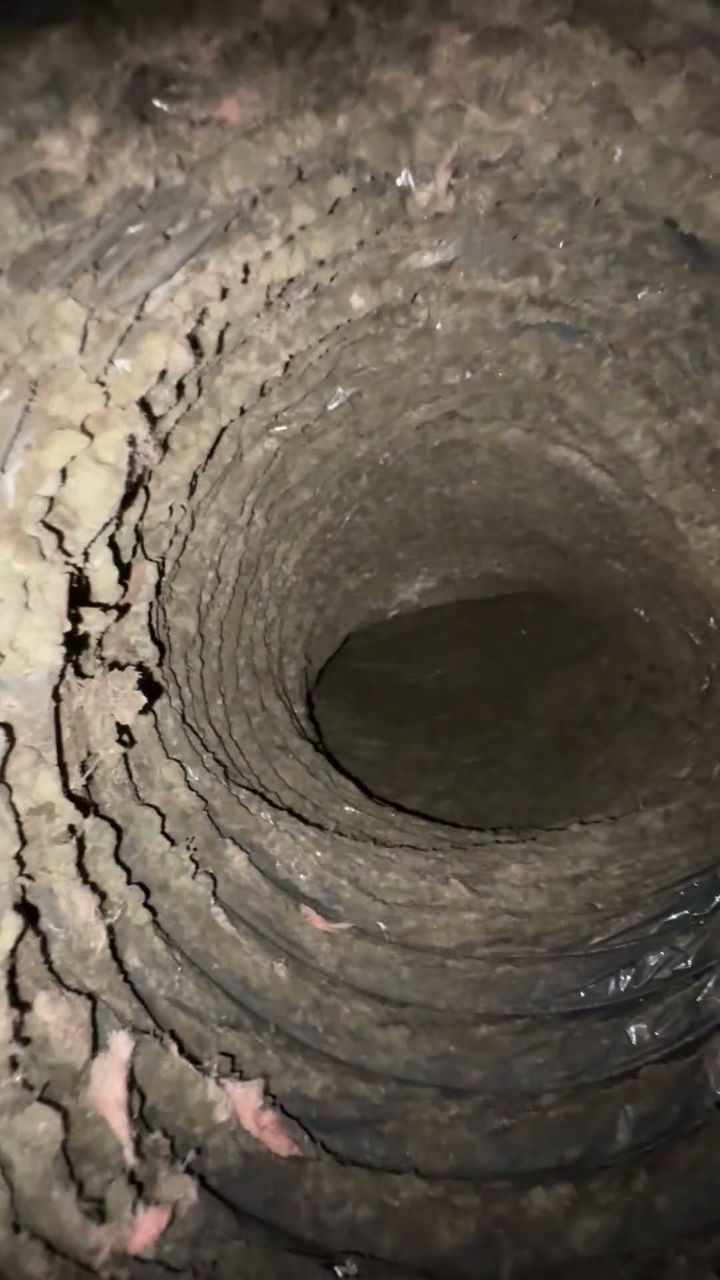 Mold cleaned out of a duct and plenum box by Andrew and Sons in Austin, TX