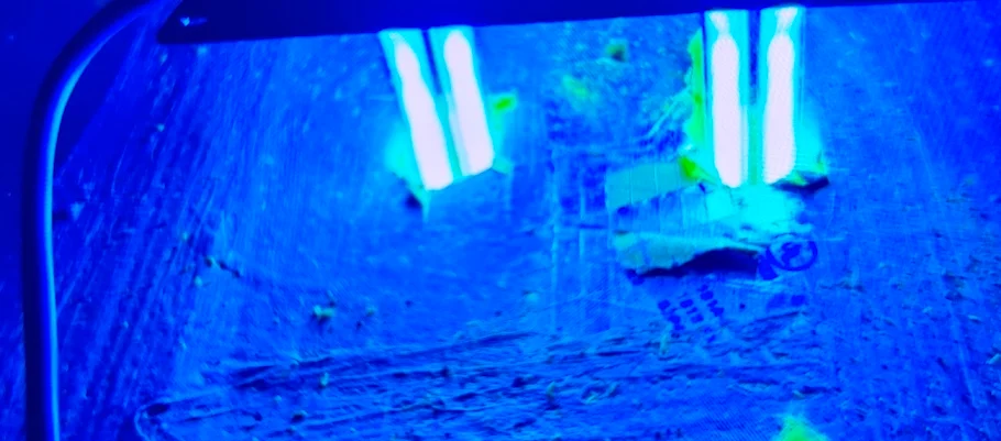 Twin air purifying UV lamps installed inside the ductwork of a Central Texas home