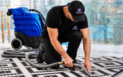 Andrew and Sons technician deep cleaning a rug